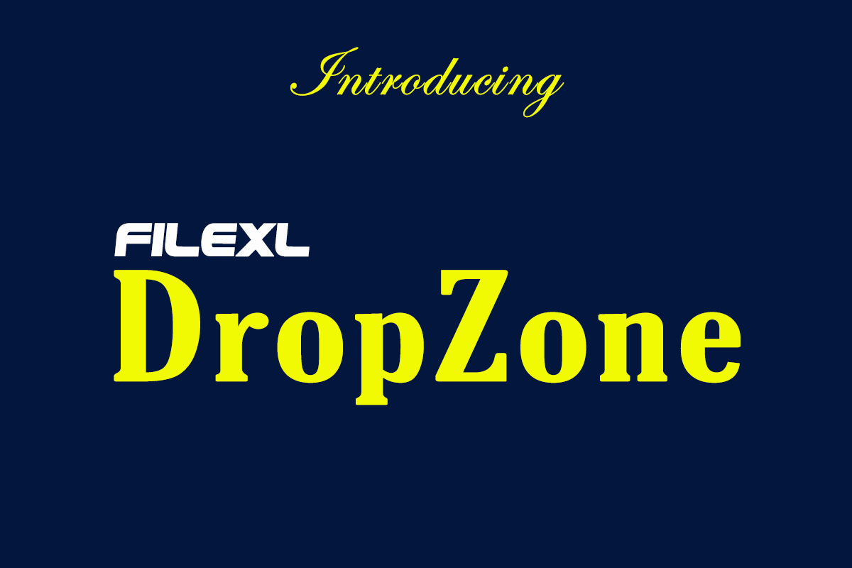 Filexl Dropzone The 1 Free Tool For Teachers Freelancers  Businesses To Receive Files